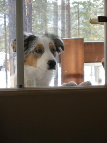 Får jag komma in??