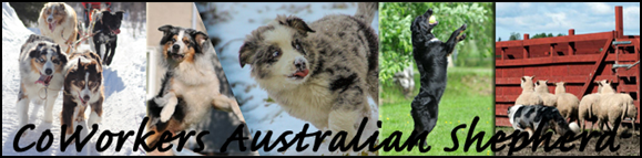 banner-kopiera1.jpg
