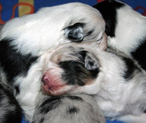 so sweet
