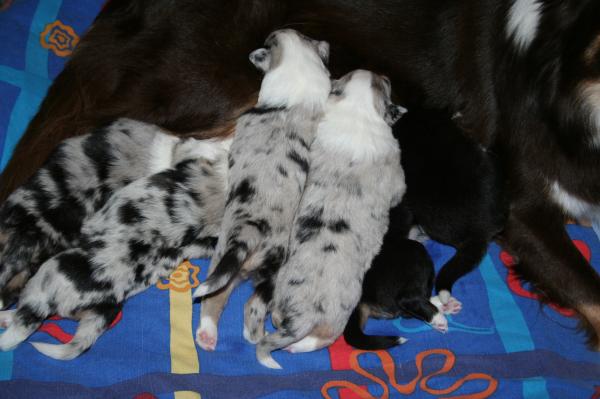 Foodtime!