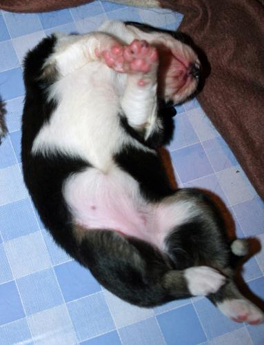 Girl 2 is having a nap
