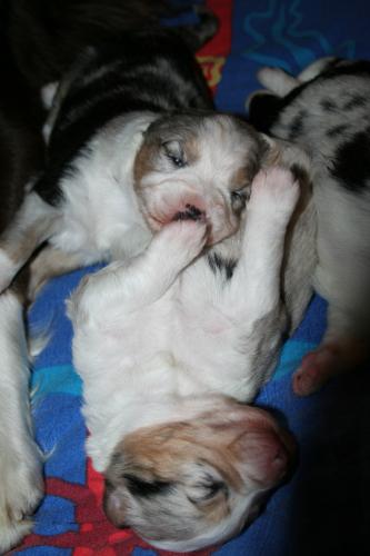 Girl 1 is playing with girl 3, isn`t she qute with her half open eyes?