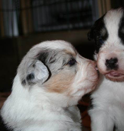 Do you want to hear a secret?