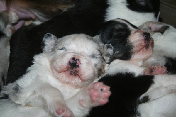 Cute, boy 1 &amp; boy 2