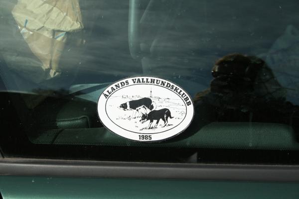 Ålnad har en vallhundsklubb!