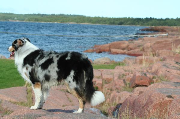 Klippor på Åland