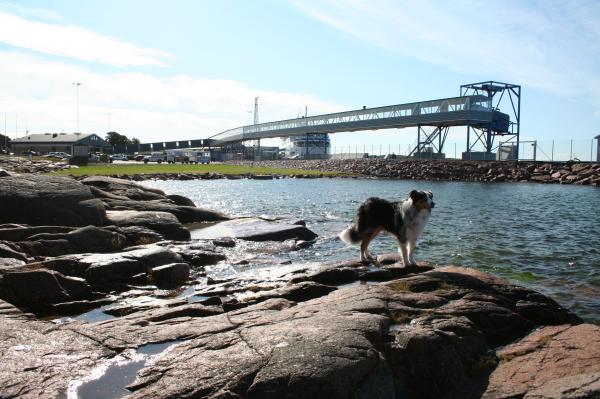 I hamnen där båten gick tillbaks till Sverige