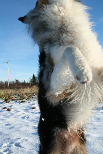 Hmm, dålig fotograf.. :-)