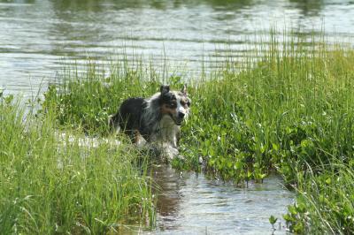 Tungt att springa i vatten