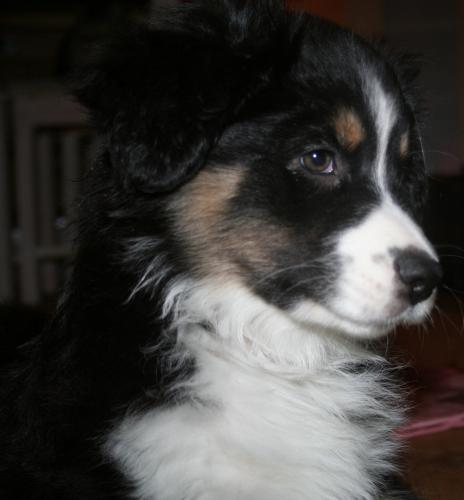 En snygg kille!!