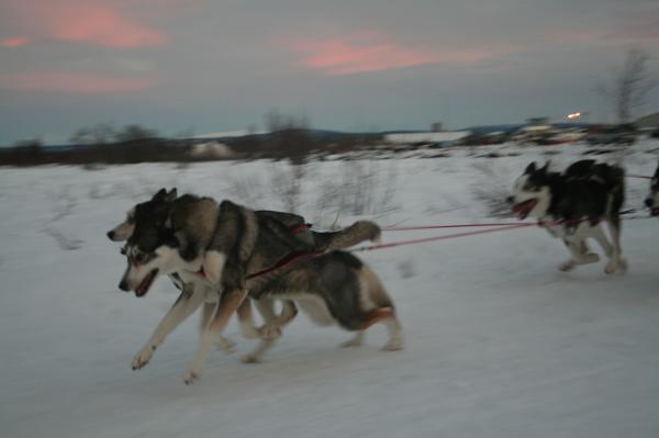 Full fart