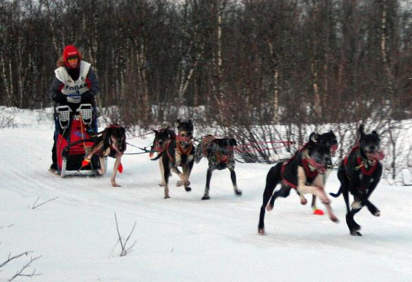 Hege Ingebrigtssen, överlägsen i åttaspann på nästan alla tävlingar, hon vann oxå 6 spanns klassen!!!