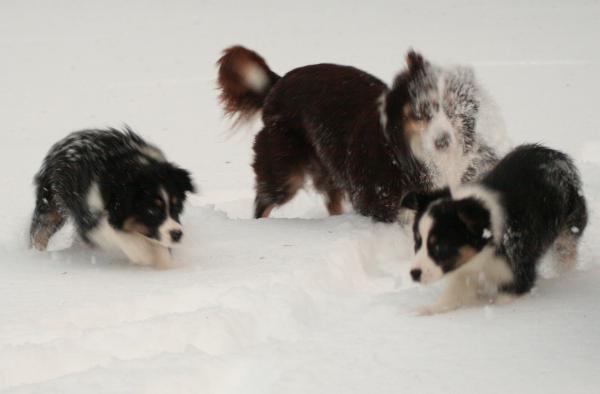 Snö är skoj!!