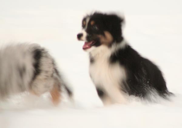 Blir många konstiga bilder, men denna blev ganska cool tycker jag..