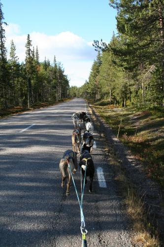 Vi kör ca 200m efter asfaltvägen, men det är inga problem.