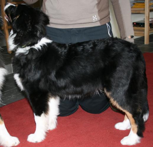 björkis 098