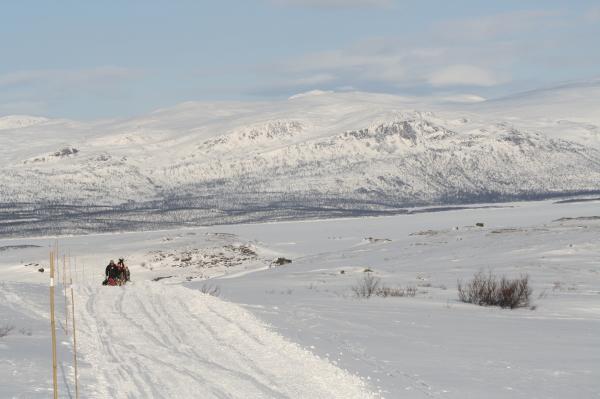 vinter 001