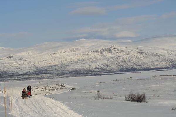 vinter 002