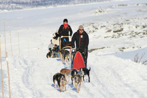 vinter 003