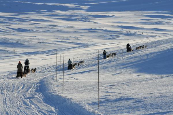 vinter 006