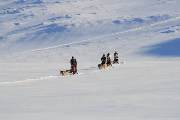 vinter 011