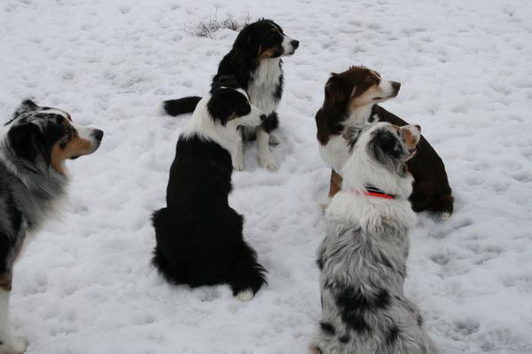 Familjebild